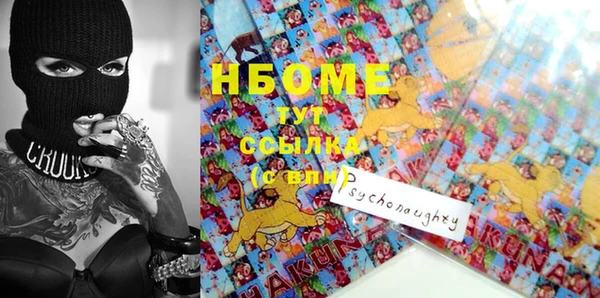 сатива Россошь