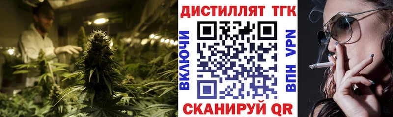 Дистиллят ТГК концентрат  купить наркотики сайты  МЕГА маркетплейс  Рудня 