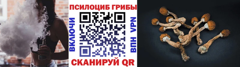 дарнет шоп  Рудня  darknet как зайти  Галлюциногенные грибы GOLDEN TEACHER 